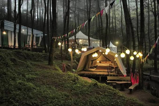 Glamping di Tengah Hutan Pinus: Sensasi Menginap Mewah Berpadu Udara Sejuk dan Lanskap Alam Sempurna